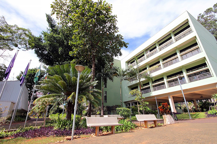 graduandos da USP São Carlos podem se inscrever em atividade extensionista