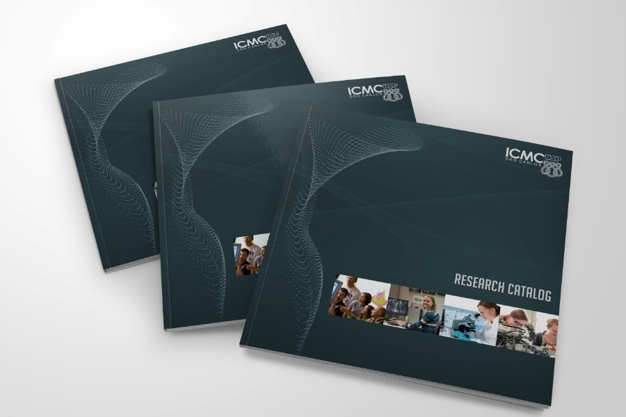 catalogo2