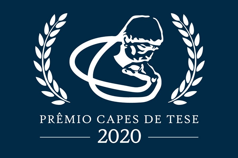 pesquisa-analisa-textos-por-meio-de-redes-complexas-e-conquista-premio-capes-de-teses