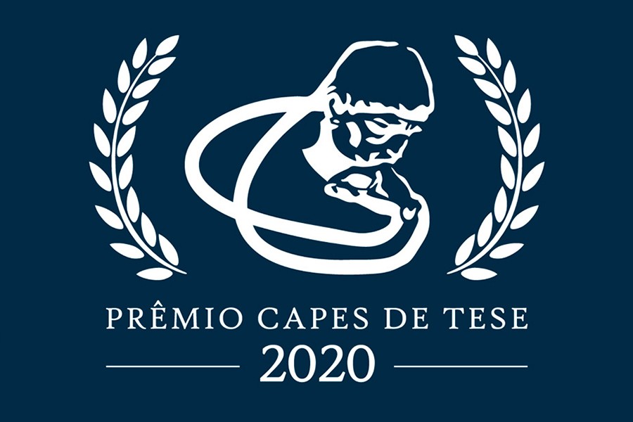 pesquisa-analisa-textos-por-meio-de-redes-complexas-e-conquista-premio-capes-de-teses