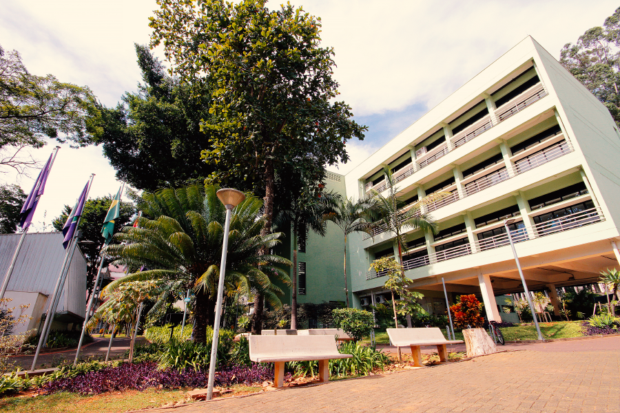 icmc-site-01