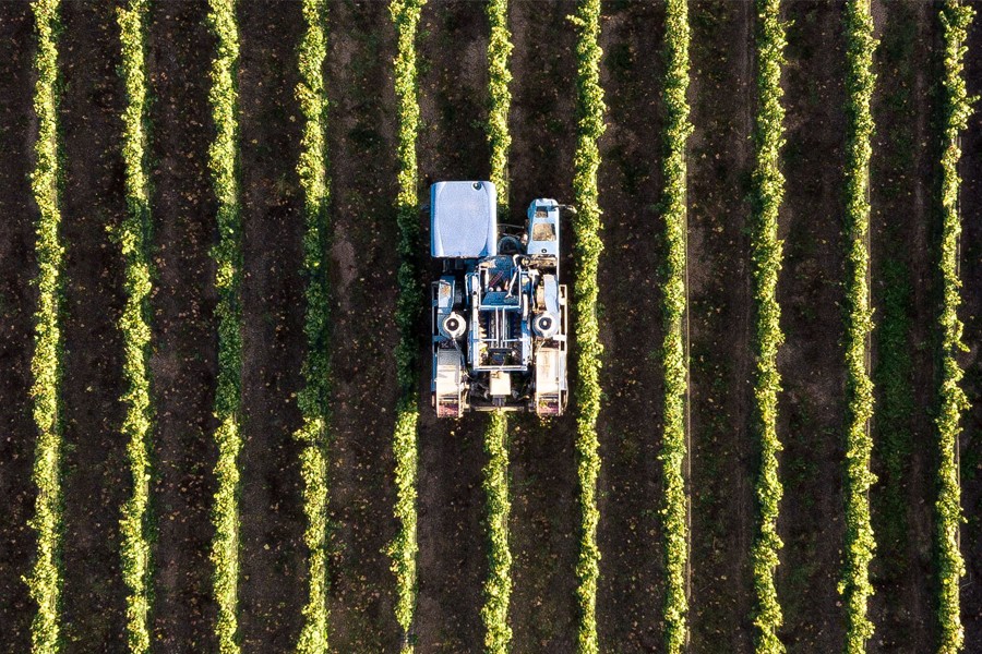 centro-agribio-seleciona-alunos-interessados-em-pesquisa-com-bolsa