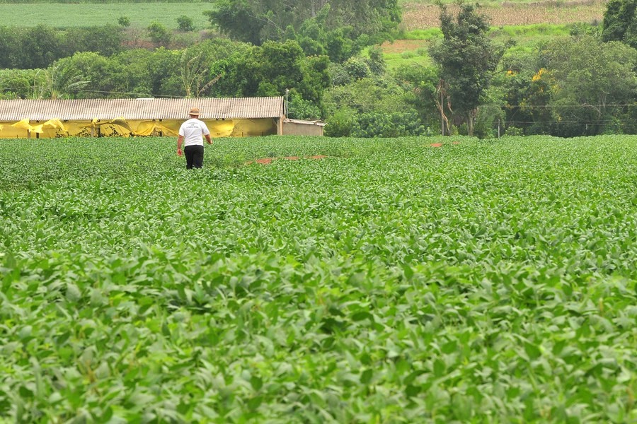 agribio-e-o-uso-da-inteligencia-artificial-na-producao-agricola