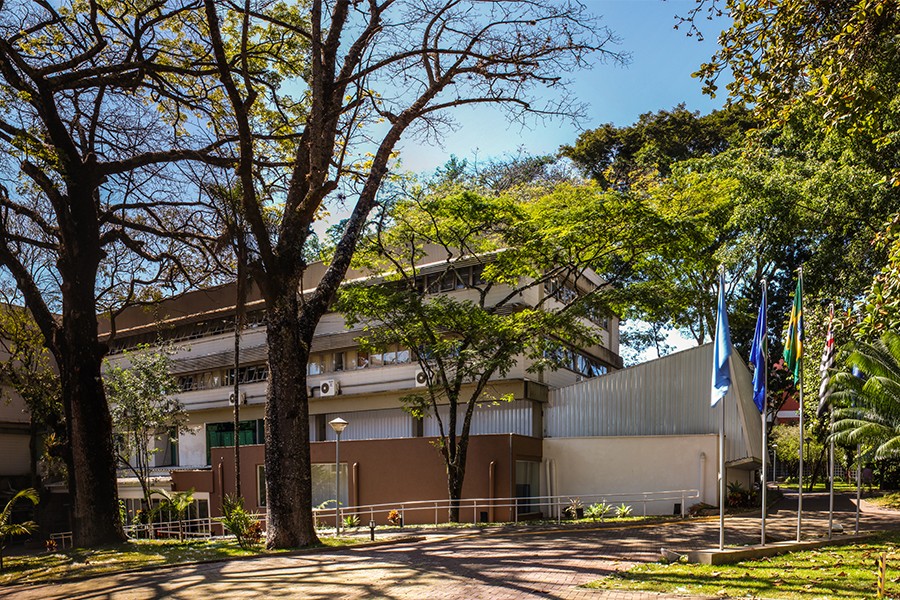 Pós-graduação gratuita em estatística: inscreva-se no programa oferecido pela USP e pela UFSCar