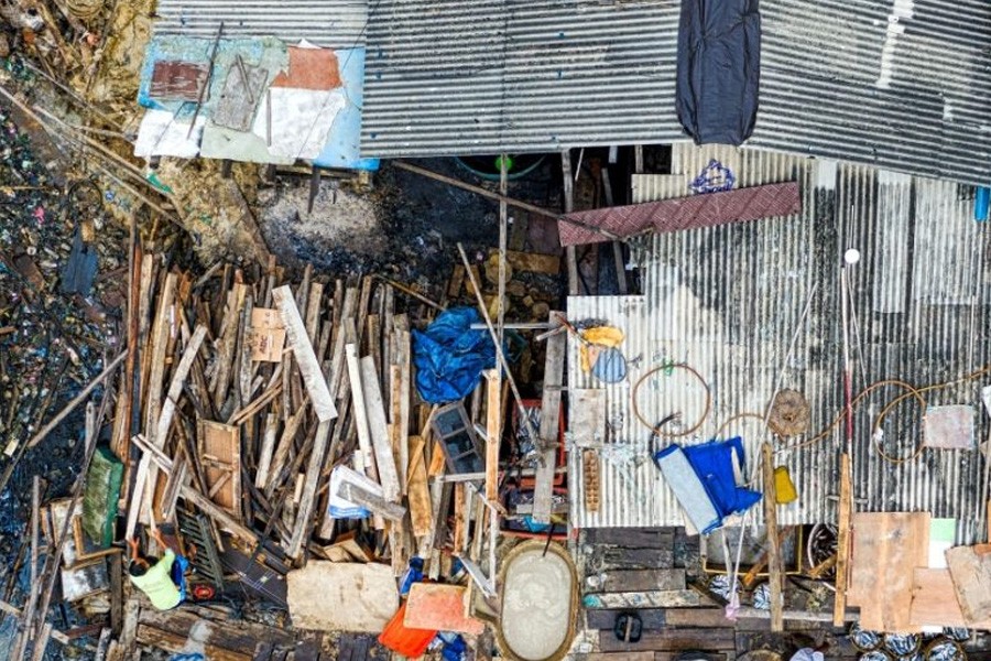 rede-iara-e-convidada-para-colaborar-com-programa-de-combate-a-crimes-ambientais
