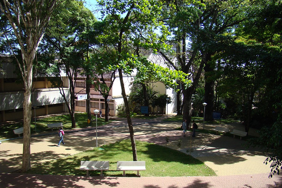 destaque-museu-da-fauna-e-da-flora-do-icmc-seleciona-bolsistas