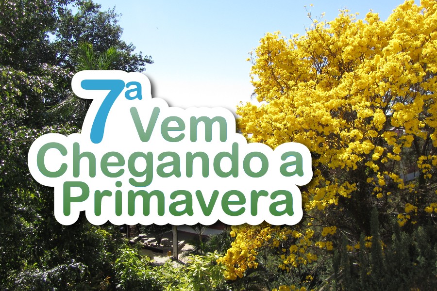 destaque-7-vem-chegando-a-primavera-02