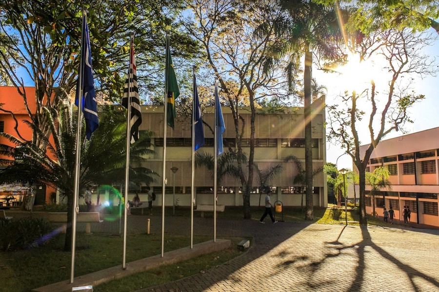 Como a computação, a matemática e a estatística conectam a Universidade com a sociedade