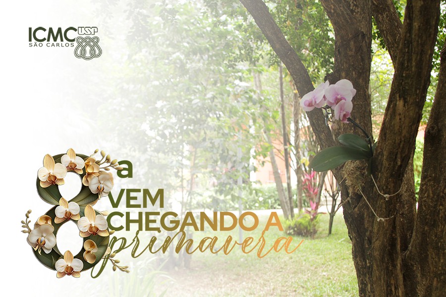 destaque-8-vem-chegando-a-primavera