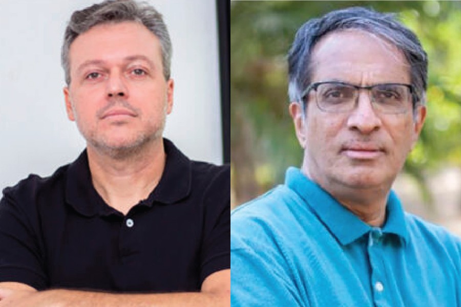 Modelos causais e intervenções em políticas públicas para enfrentar a fome e a insegurança alimentar