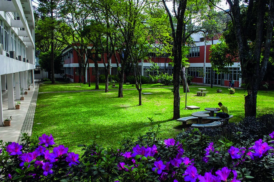 jardim-icmc